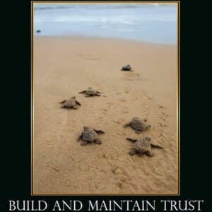 Build and Maintain Trust: Turtles